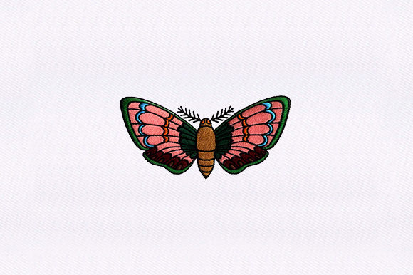 Detailed Moth Design